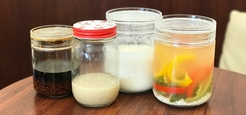 楽しくおいしく健康に 発酵かあさん の著者が語る 手作り発酵食品の魅力 インタビュー 発酵日和